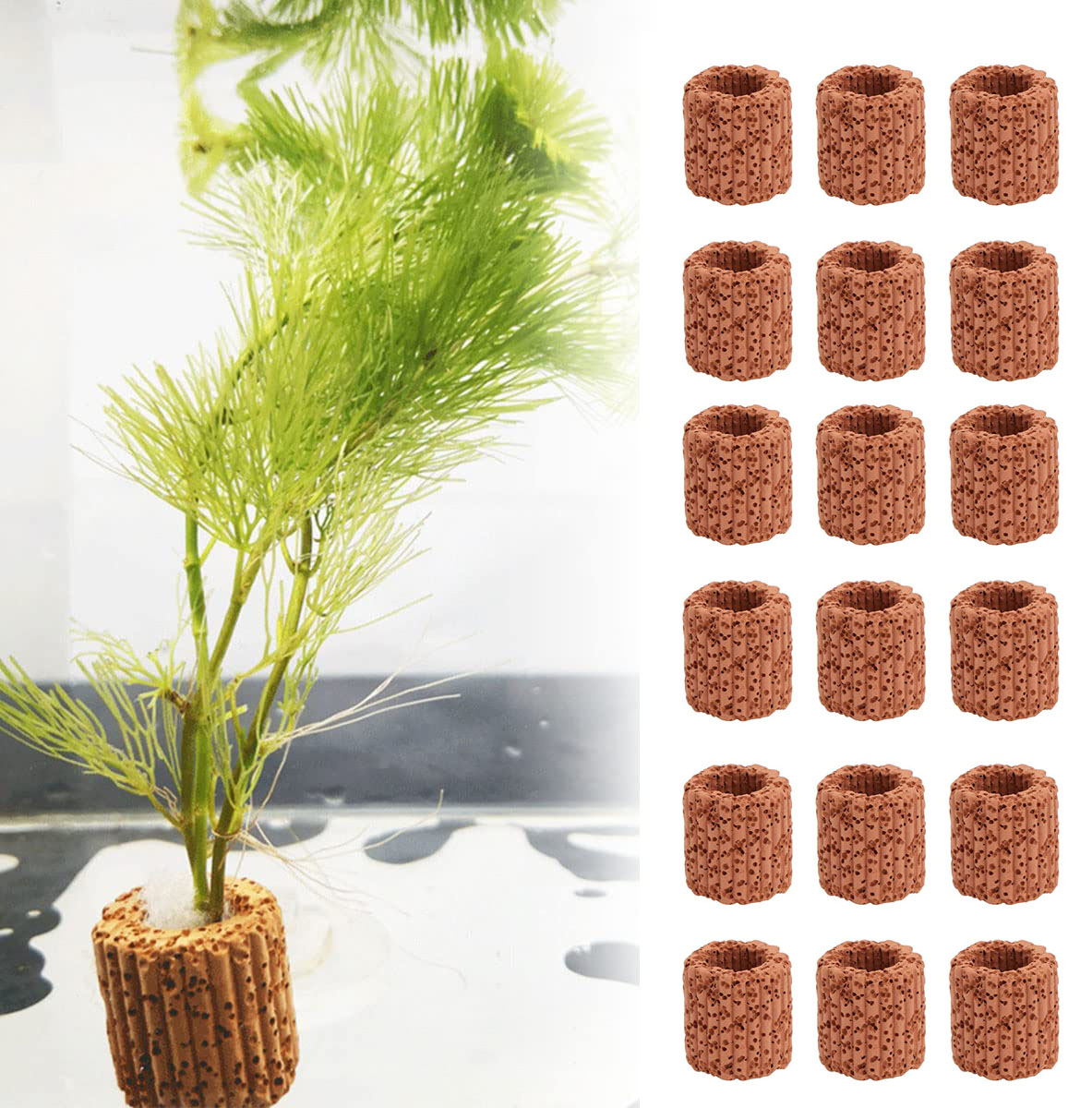 Aquarium Plants Live - 10/20Pcs Aquatisch Water Plant Vaste Ring