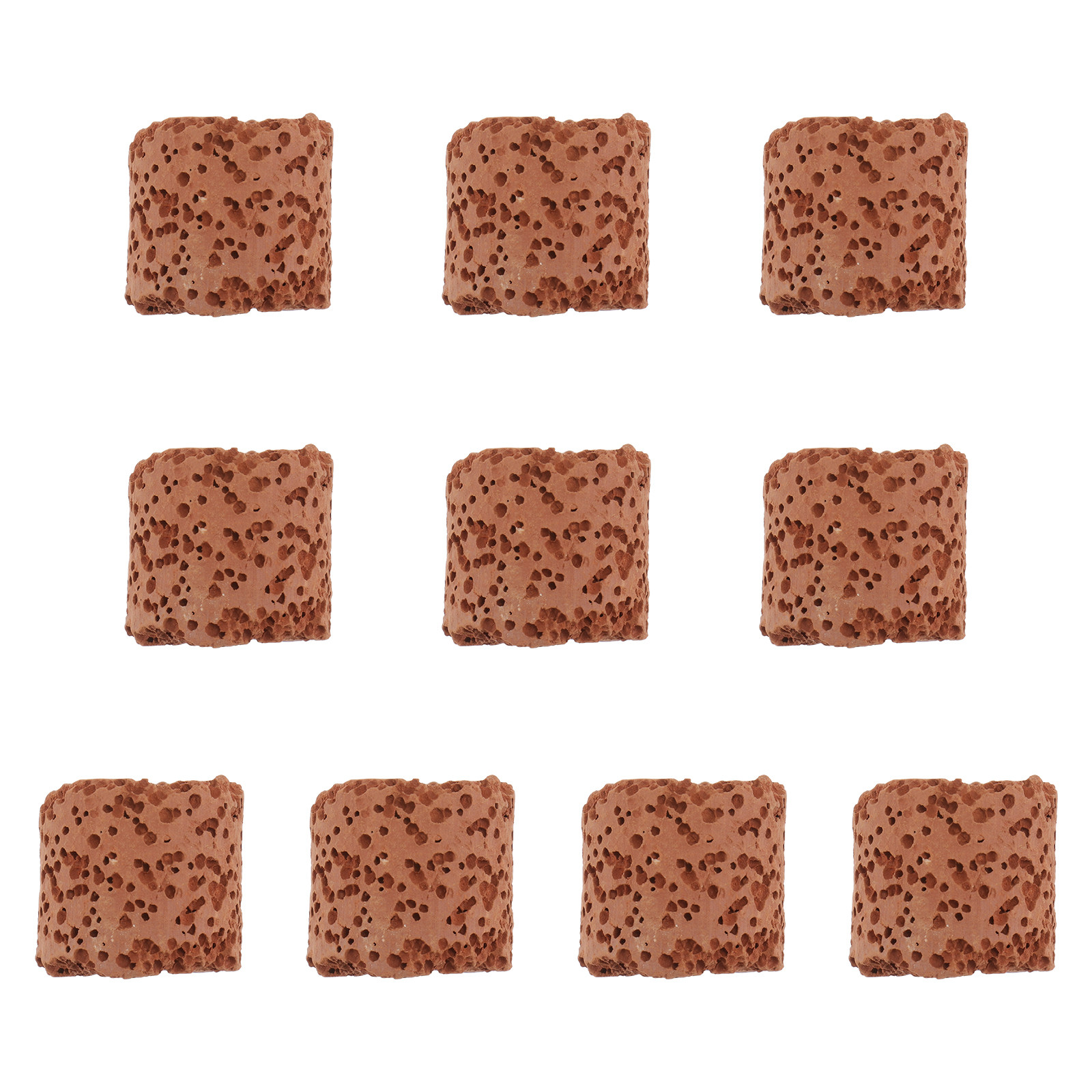 Aquarium Plant Holder - 10 stuks vaste ringen voor aquariumplanten,