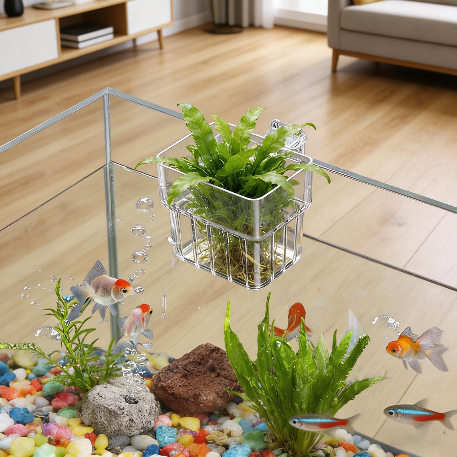 Transparante hangbare aquarium - Plant Aquarium Pot recensie en prijs