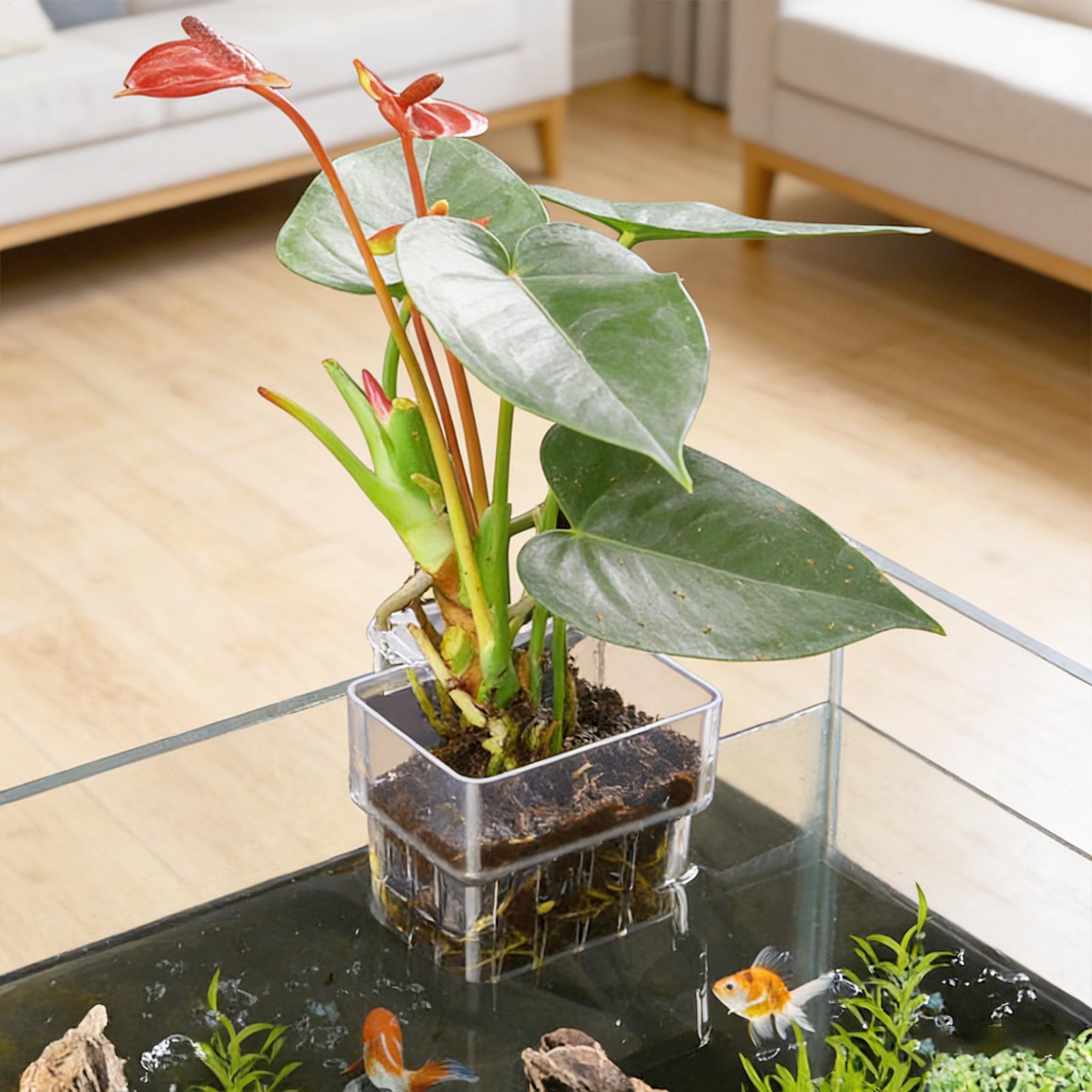Transparante hangbare aquarium - Plant Aquarium Pot recensie en prijs