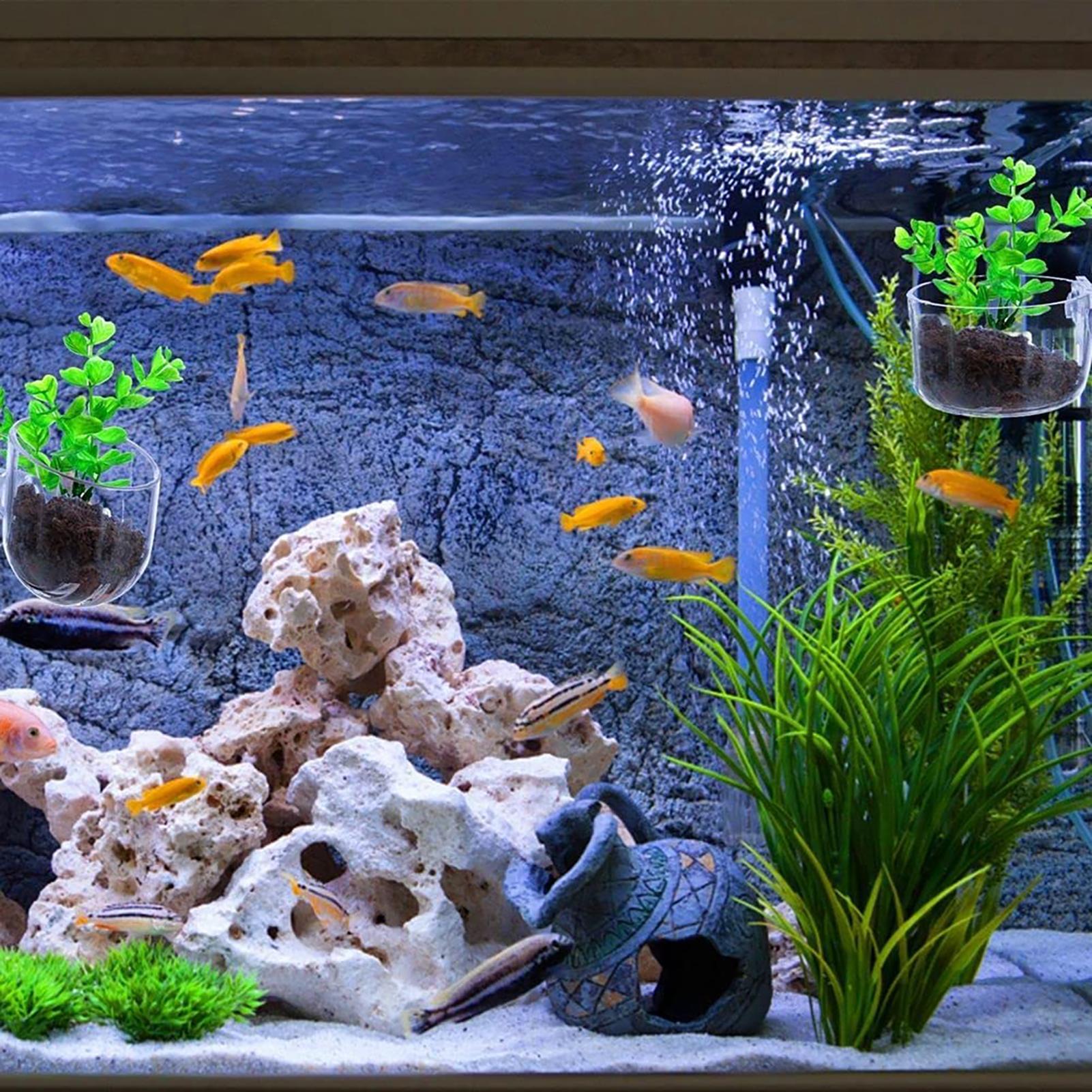 Aquatische plantenpot Helder a - Plant Aquarium Pot recensie en prijs