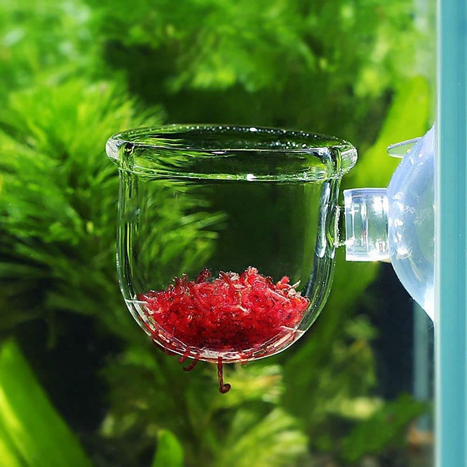 Aquatische plantenpot Helder a - Plant Aquarium Pot recensie en prijs