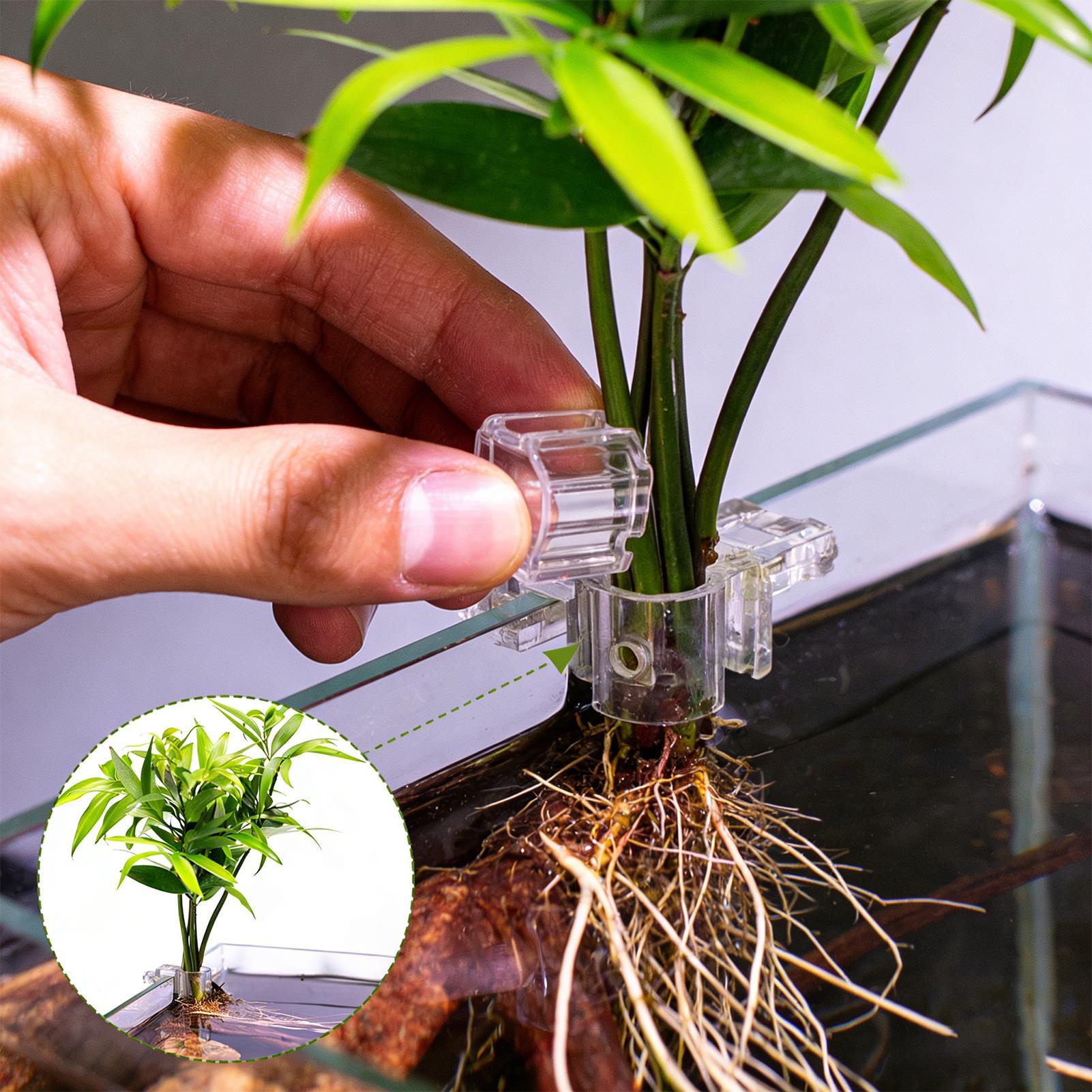 6 stuks aquariumplantenhouders - Aquarium Plant Holder recensie en prijs