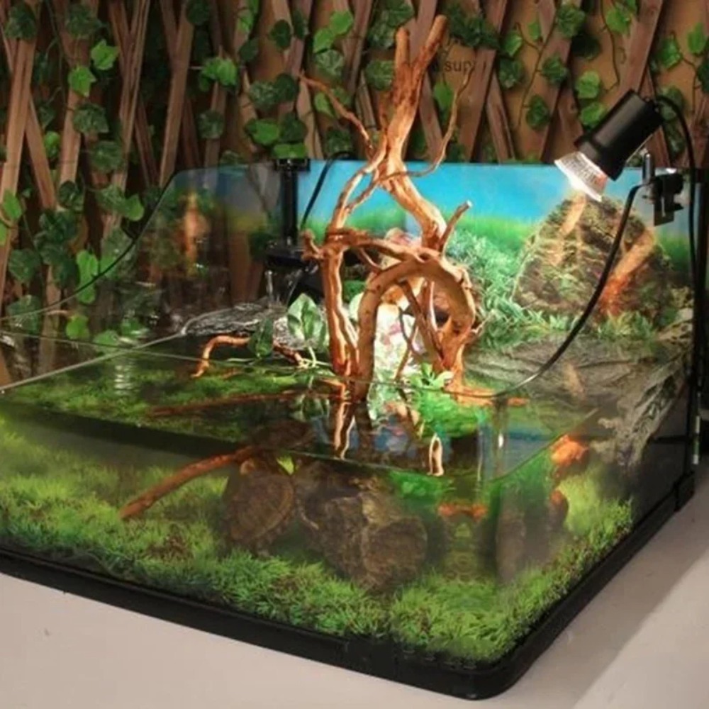 Natuurlijk drijfhout voor aqua - Aquarium Plant Substrate recensie en prijs