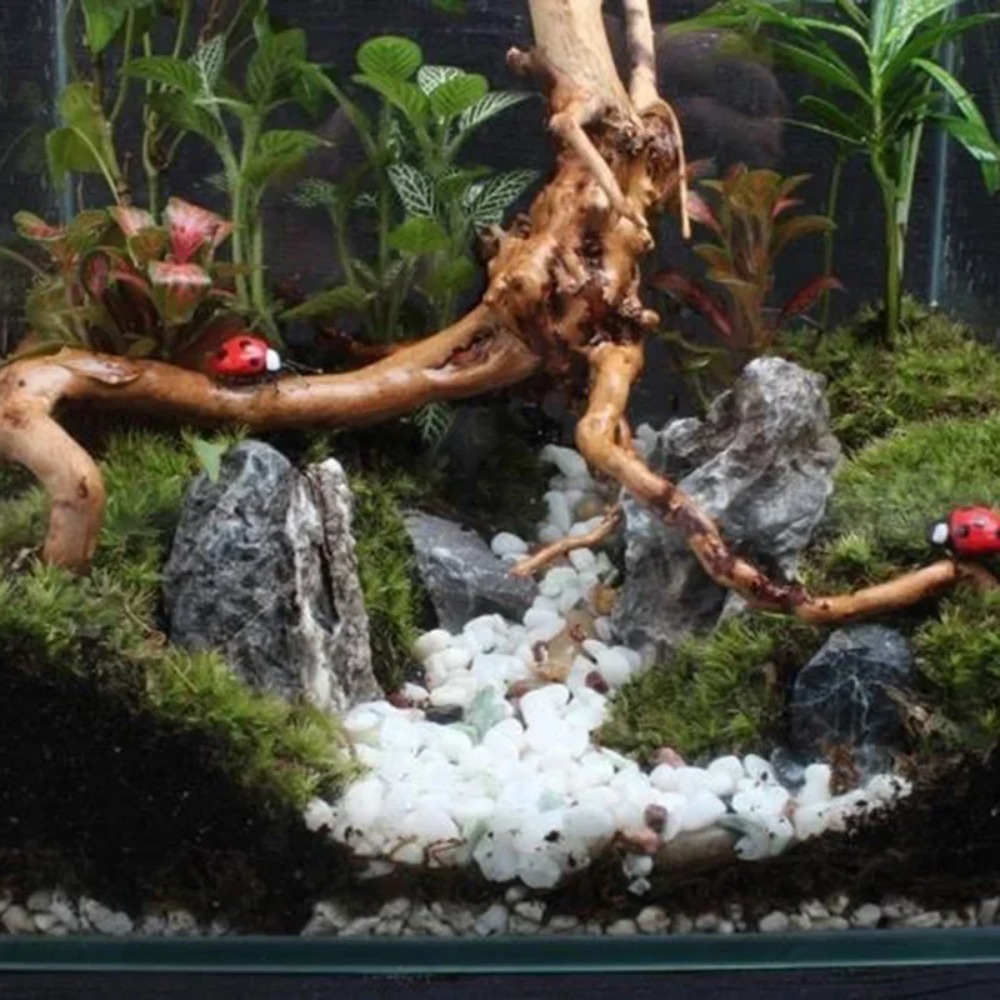 Natuurlijk drijfhout voor aqua - Aquarium Plant Substrate recensie en prijs