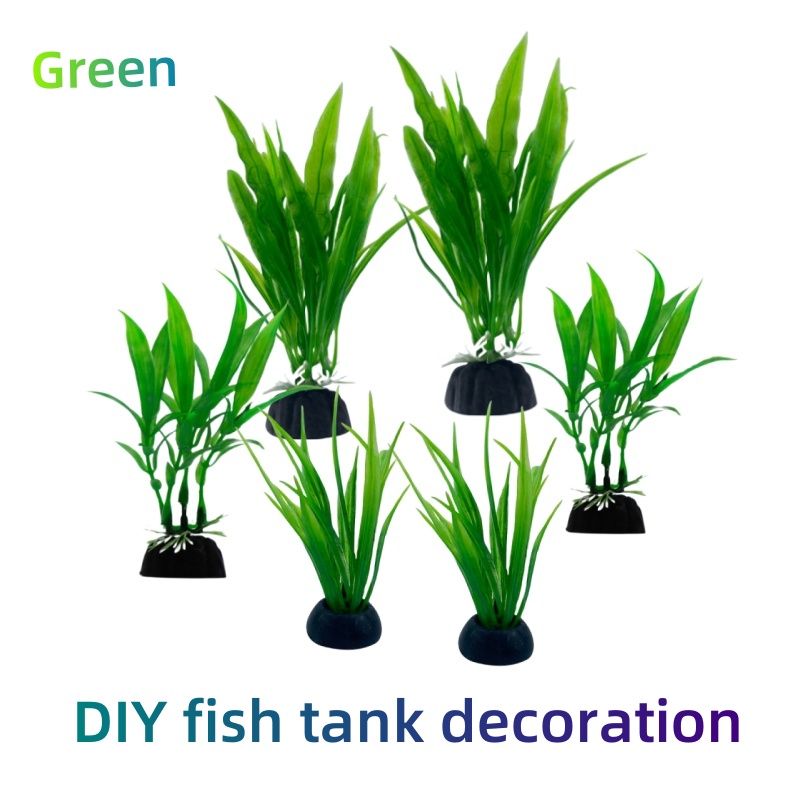 6 stuks pakketten aquariumplan - Live Plant Aquarium recensie en prijs